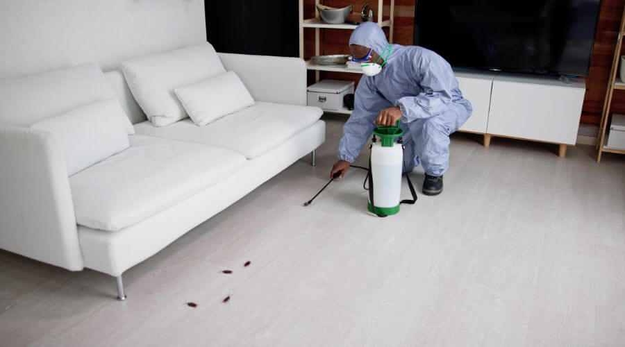 Why choose Bed Bug Heat Treatment Cherry Valley for bed bug heat treatment in Cherry Valley